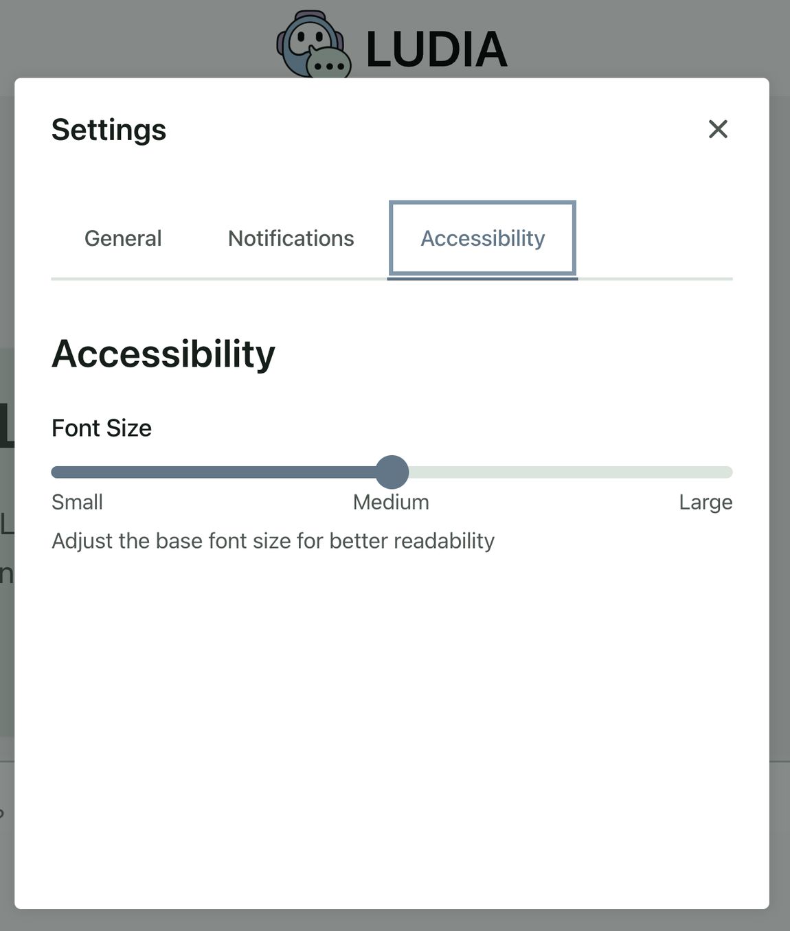 The Settings window with the Accessibility tab selected. Under Font Size, a slider is set to Medium and can move between Small, Medium, and Large.